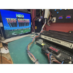 Cartucho original de Neo Geo del juego Neo Turf Masters.