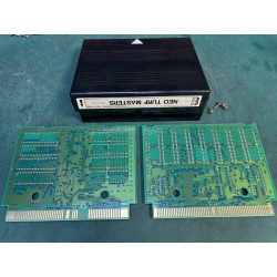Cartucho original de Neo Geo del juego Neo Turf Masters.